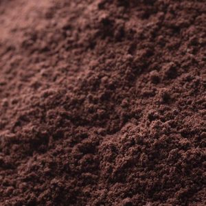 Cacao in polvere