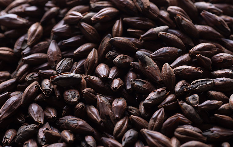 Chicci di caffè orzo